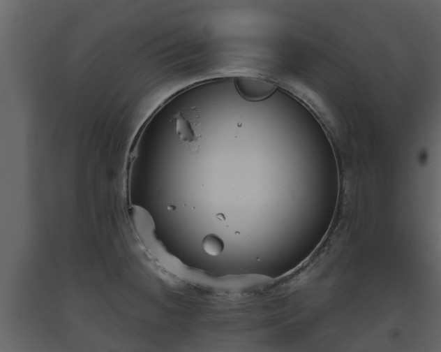 X0000093451236200710191056