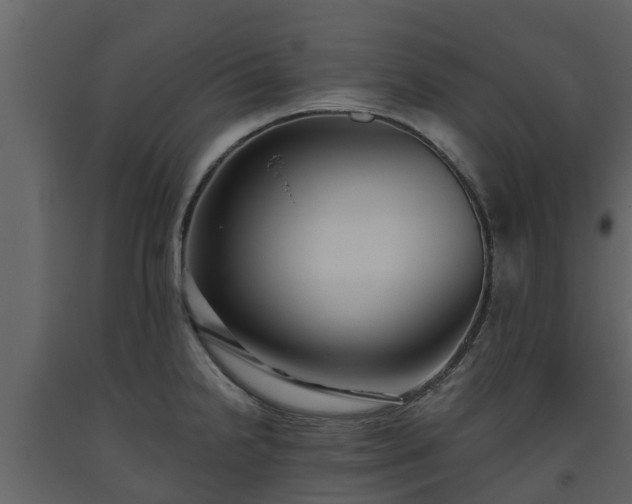 X0000093451238200710191056