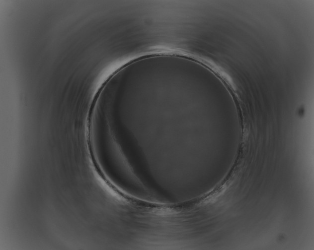 X0000093451239200710191056