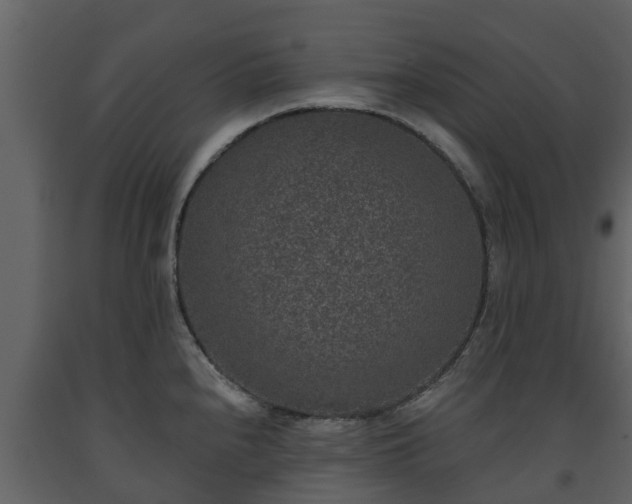 X0000093451240200710191056