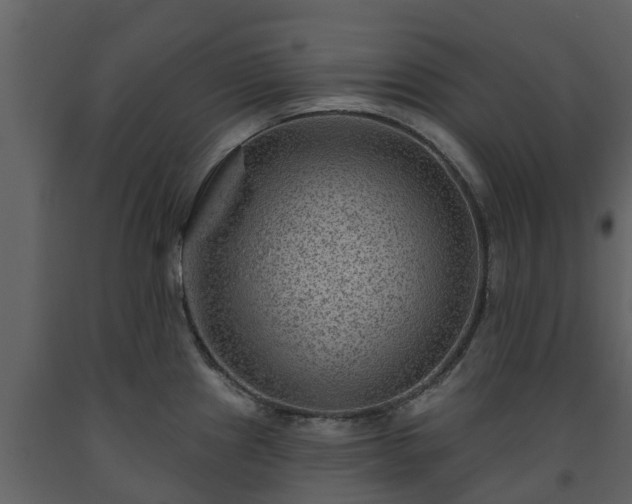 X0000093451241200710191056