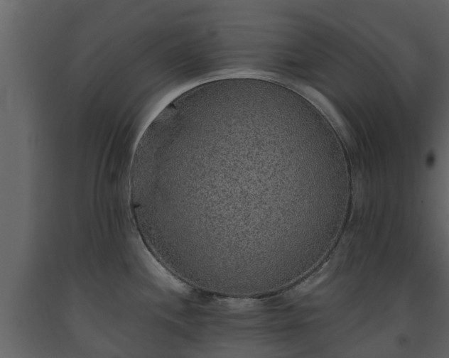 X0000093451244200710191056