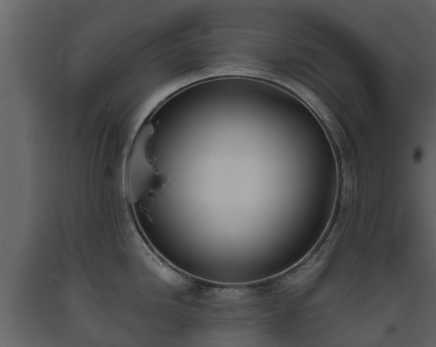 X0000093451246200710191056