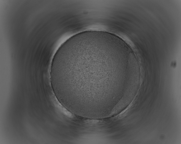 X0000093451248200710191056