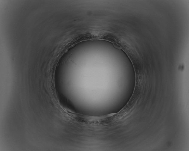 X0000093451249200710191055