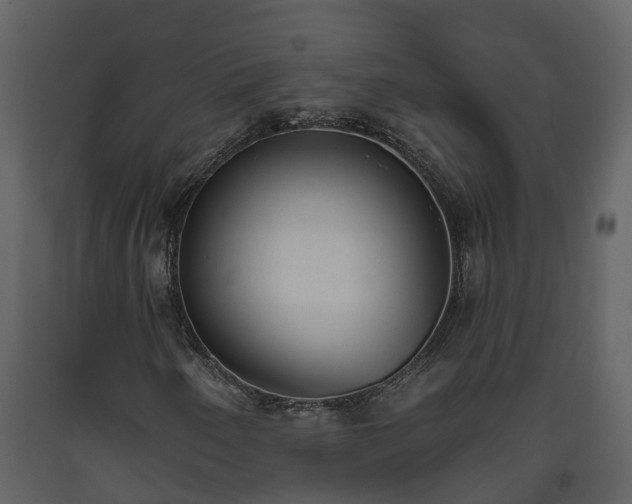 X0000093451250200710191055