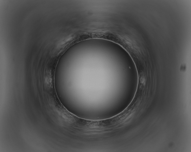 X0000093451252200710191055