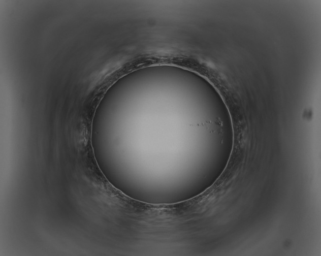 X0000093451253200710191055