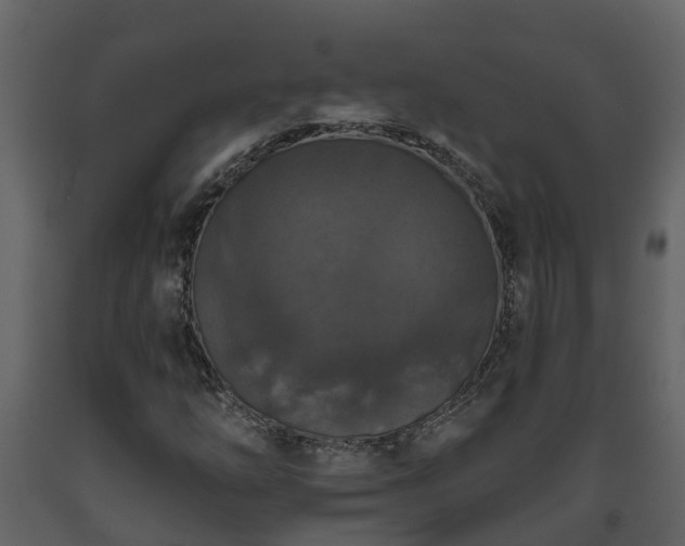 X0000093451254200710191055