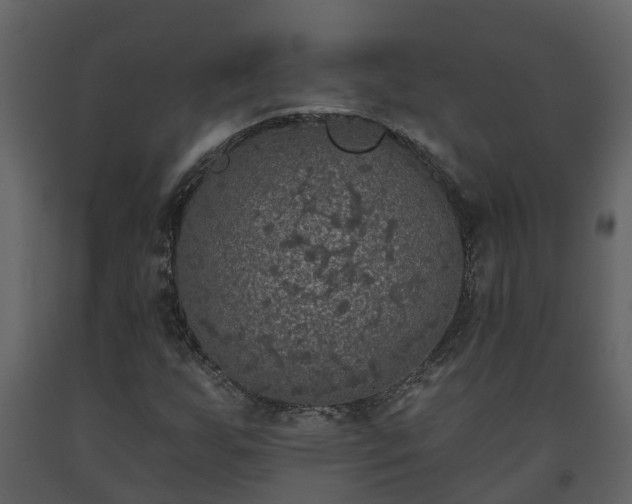 X0000093451255200710191055