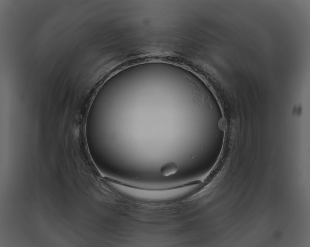 X0000093451257200710191055