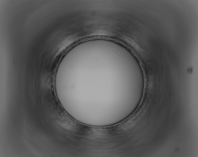 X0000093451258200710191055