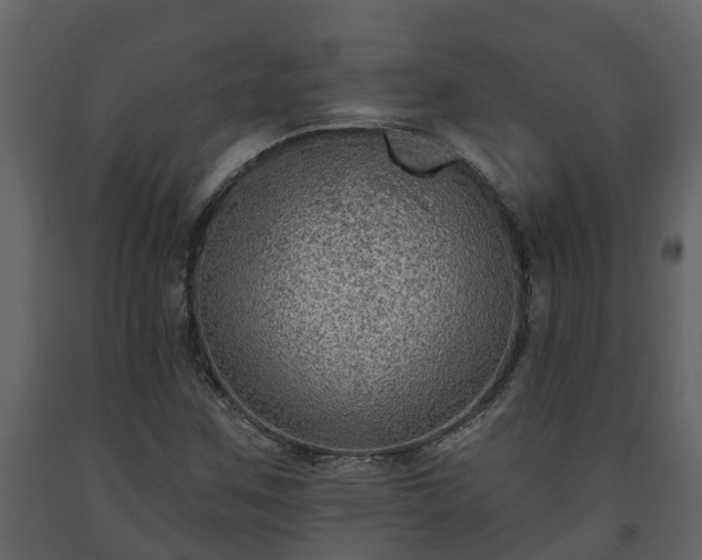 X0000093451259200710191055