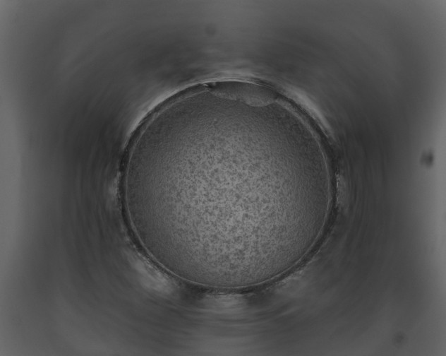 X0000093451260200710191055