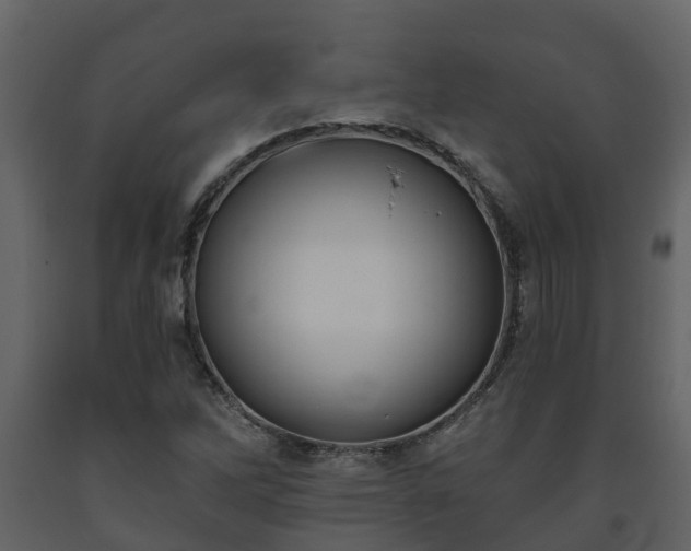 X0000093451262200710191055