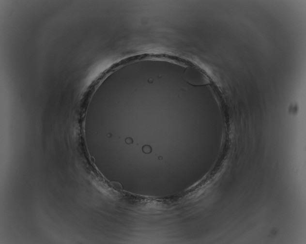 X0000093451263200710191055