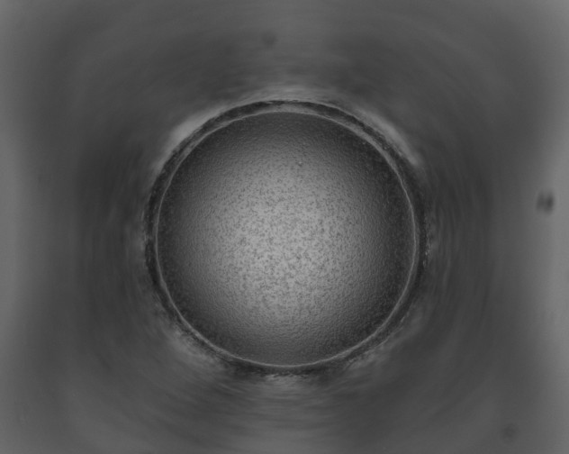 X0000093451264200710191055