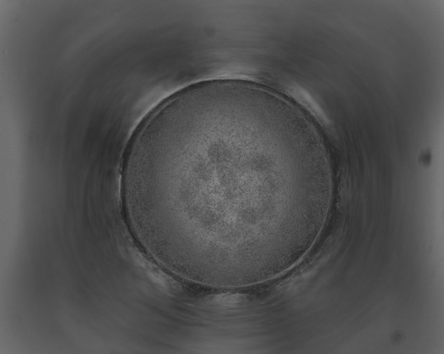 X0000093451268200710191055