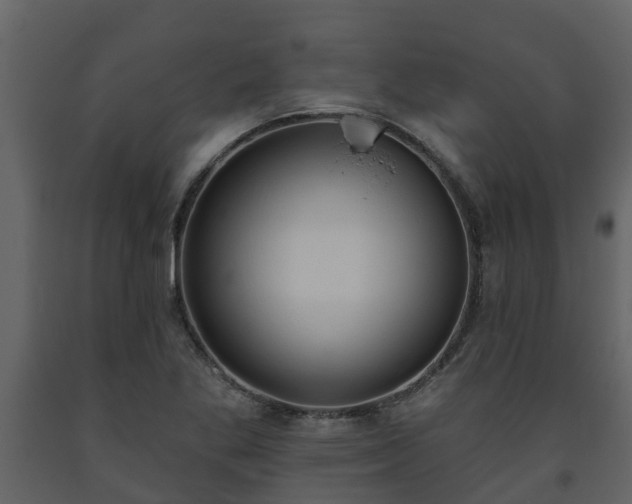 X0000093451269200710191055