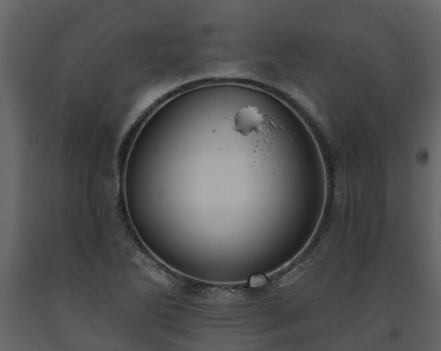 X0000093451270200710191055