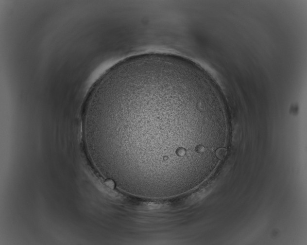 X0000093451271200710191055