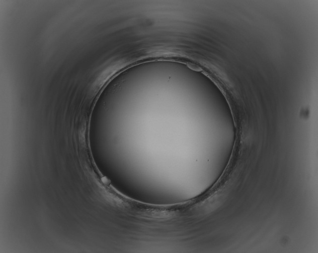 X0000093451273200710191055