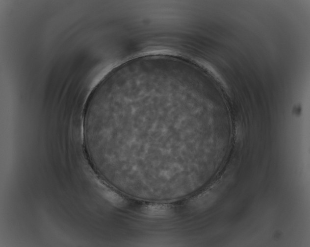 X0000093451274200710191055