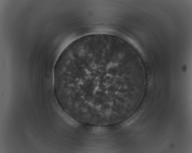 X0000093451275200710191055