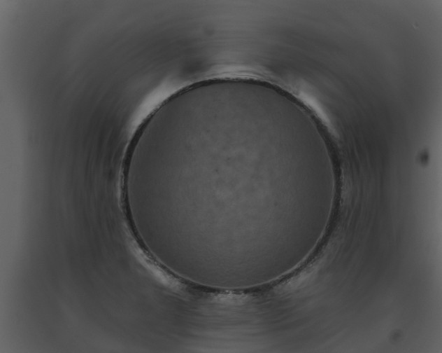 X0000093451277200710191055