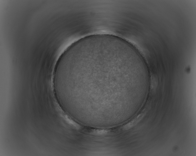 X0000093451278200710191055