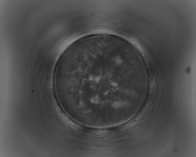 X0000093451279200710191055