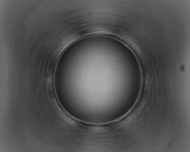 X0000093451281200710191055