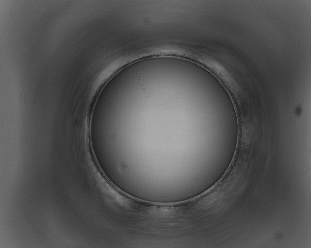 X0000093451286200710191055