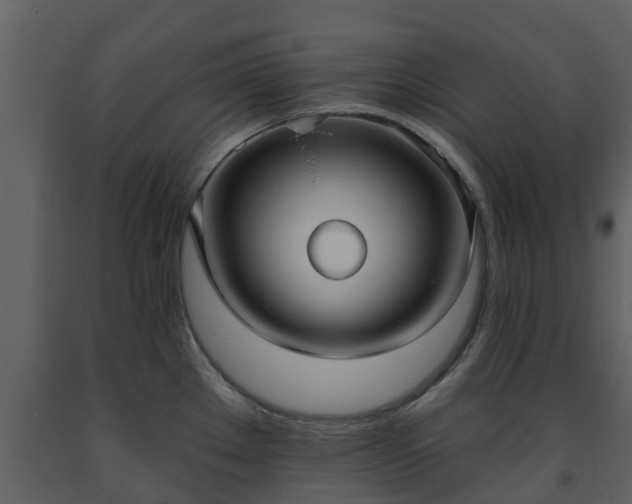 X0000093451289200710191055