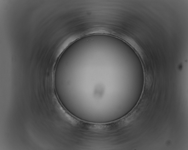 X0000093451290200710191055