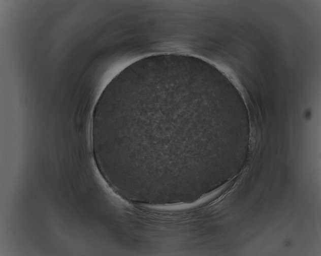 X0000093451295200710191055