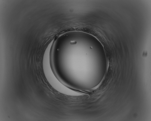 X0000093451298200710191054