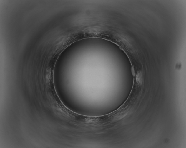 X0000093451299200710191054