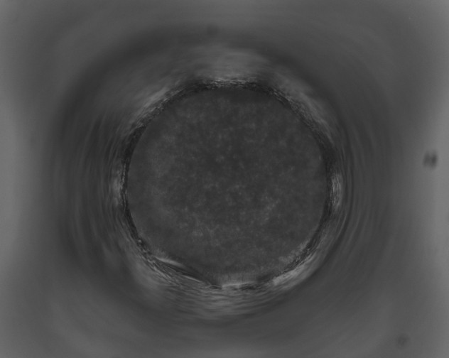 X0000093451300200710191054