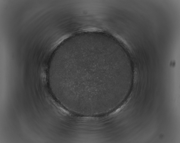 X0000093451305200710191054