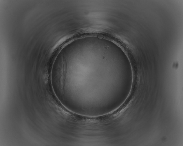 X0000093451306200710191054