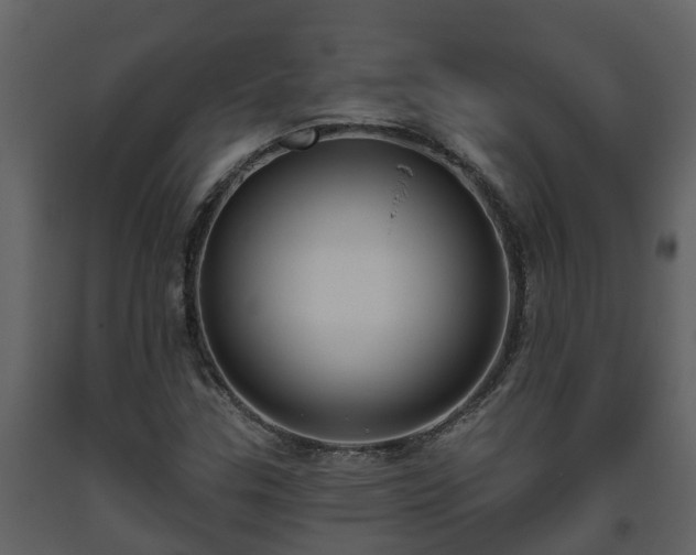 X0000093451307200710191054