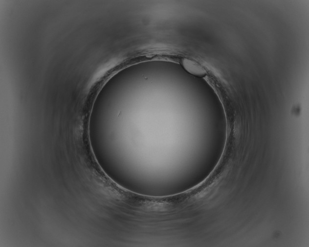 X0000093451309200710191054