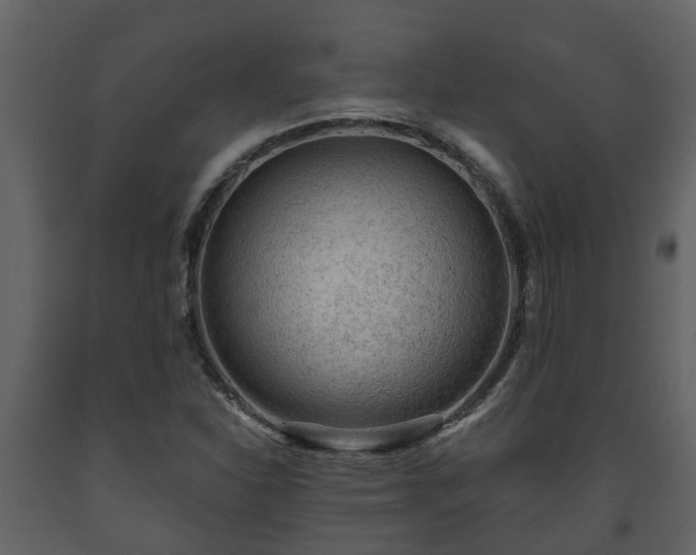 X0000093451310200710191054