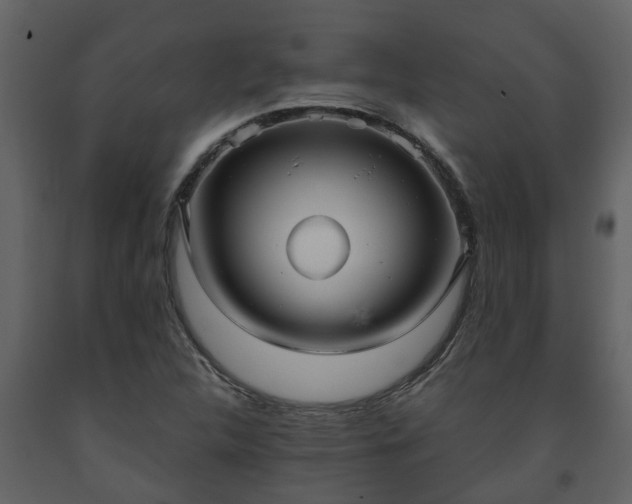 X0000093451312200710191054