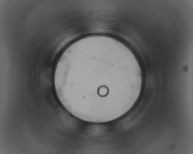 X0000093451314200710191054