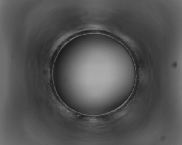 X0000093451318200710191054