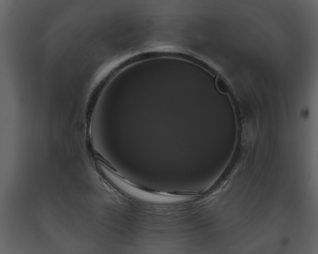 X0000093451319200710191054