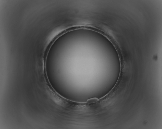 X0000093451320200710191054