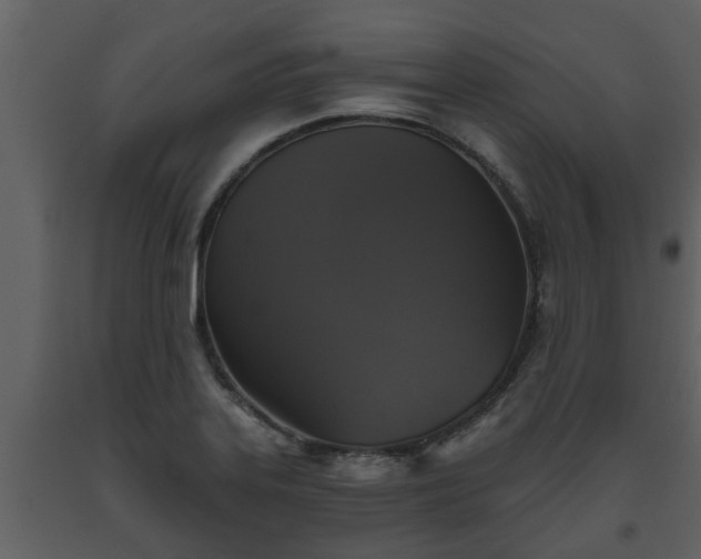 X0000093451323200710191055